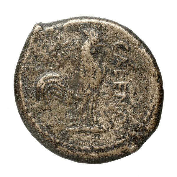 Cales Historia Numorum Italy 435, реверс, bnf-iris