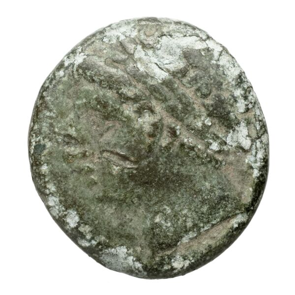 Neapolis Historia Numorum Italy 583, аверс, bnf-iris