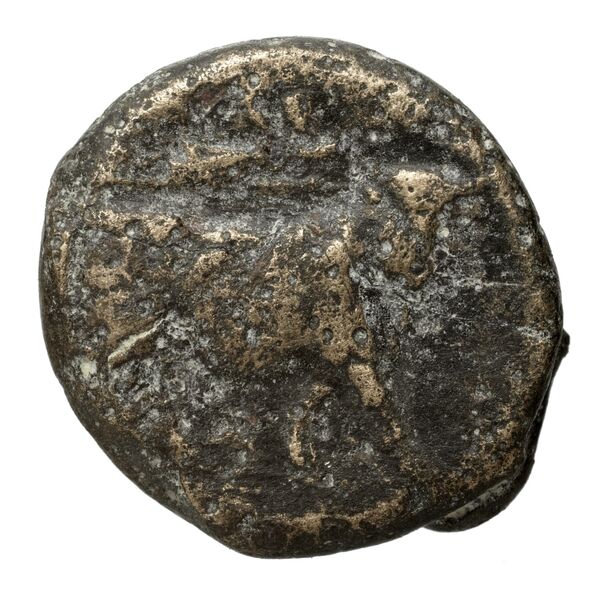 Neapolis Historia Numorum Italy 589, реверс, bnf-iris