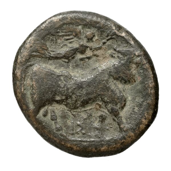 Neapolis Historia Numorum Italy 589, реверс, bnf-iris
