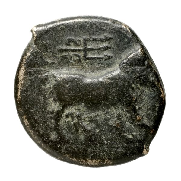 Neapolis Historia Numorum Italy 577, реверс, bnf-iris