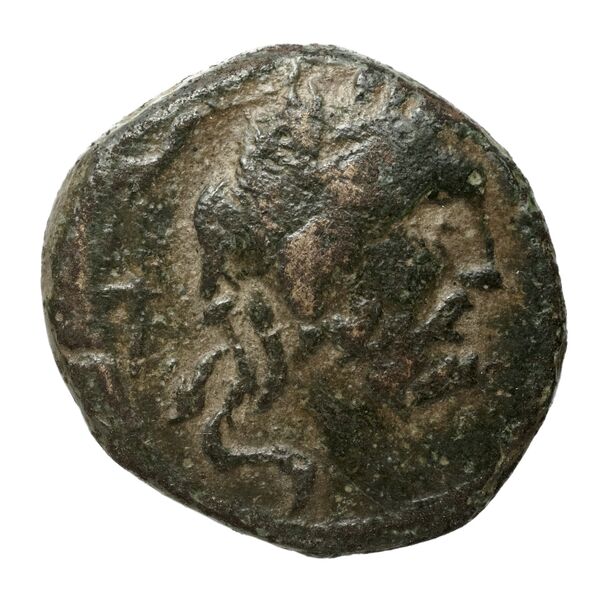 Brundisium Historia Numorum Italy 749, аверс, bnf-iris