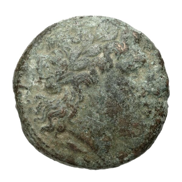 Nuceria Historia Numorum Italy 2438-46, аверс, bnf-iris