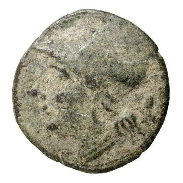Locri Epizephyrii Historia Numorum Italy 2384-2397, аверс, BnF (IRIS)
