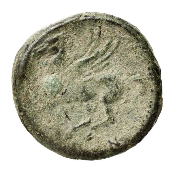 Locri Epizephyrii Historia Numorum Italy 2384-2397, реверс, BnF (IRIS)