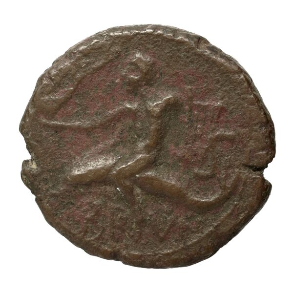 Brundisium Historia Numorum Italy 749, реверс, bnf-iris