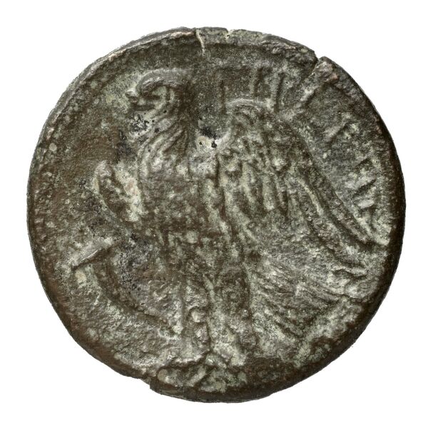 Brettii Bruttium Historia Numorum Italy 1978-1981, реверс, bnf-iris