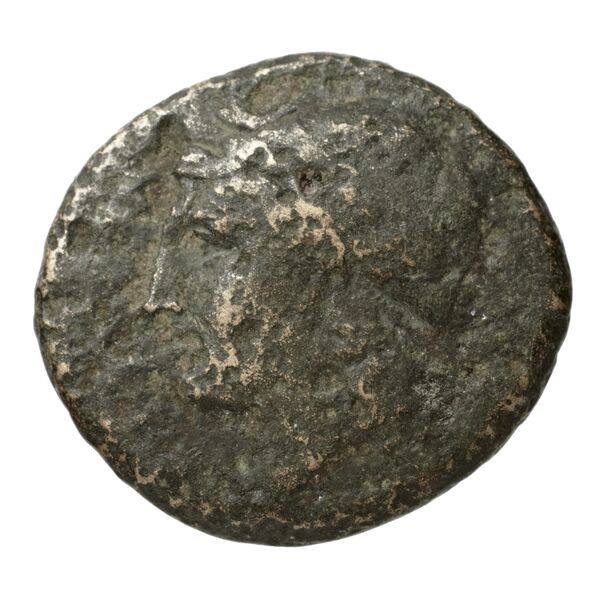 Neapolis Historia Numorum Italy 590, аверс, bnf-iris
