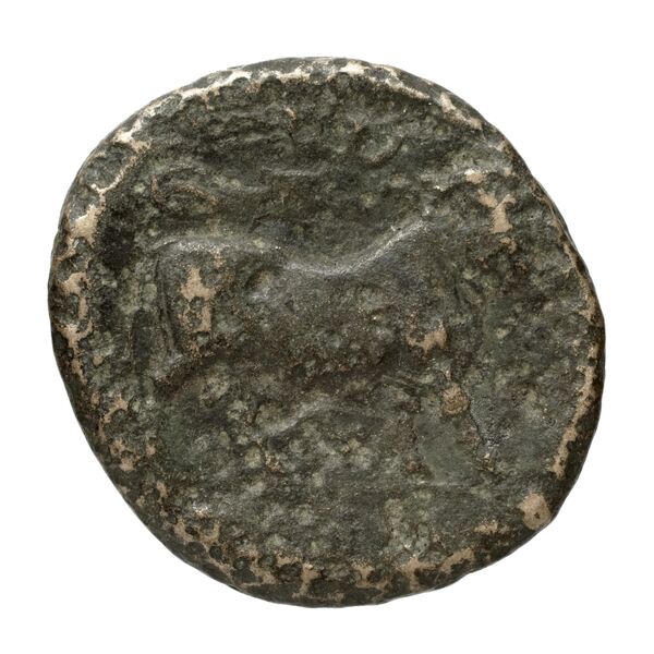 Neapolis Historia Numorum Italy 590, реверс, bnf-iris