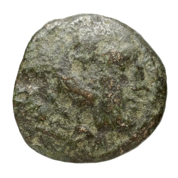 Cassander Macedon AMNG III.2 1-2, аверс, bnf-iris