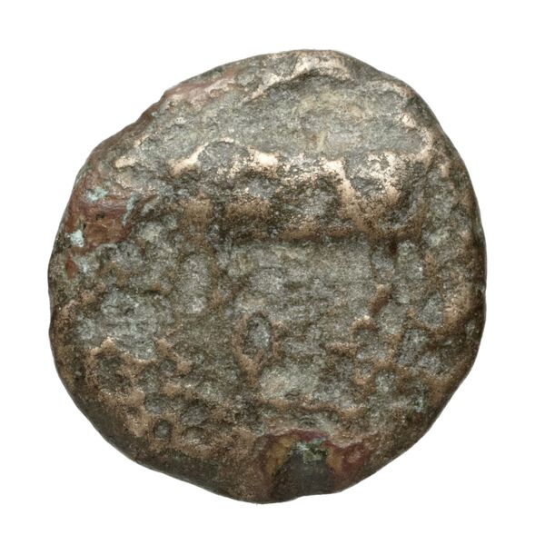 Poseidonia Historia Numorum Italy 1171-9, аверс, BnF (IRIS)