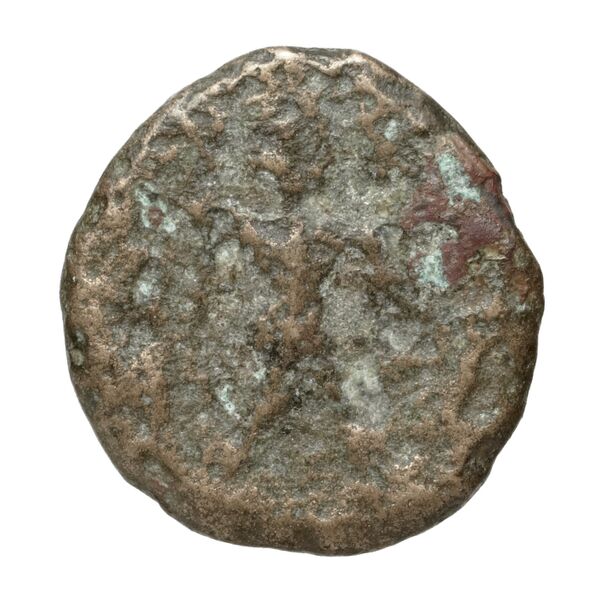 Poseidonia Historia Numorum Italy 1171-9, реверс, BnF (IRIS)