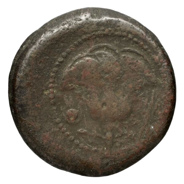 Rhodes Ashton 2001a Issue 3, реверс, bnf-iris