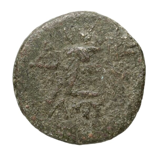 Amisus Waddington 1925 24, реверс, bnf-iris