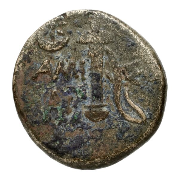 Amisus Waddington 1925 30-31, реверс, bnf-iris