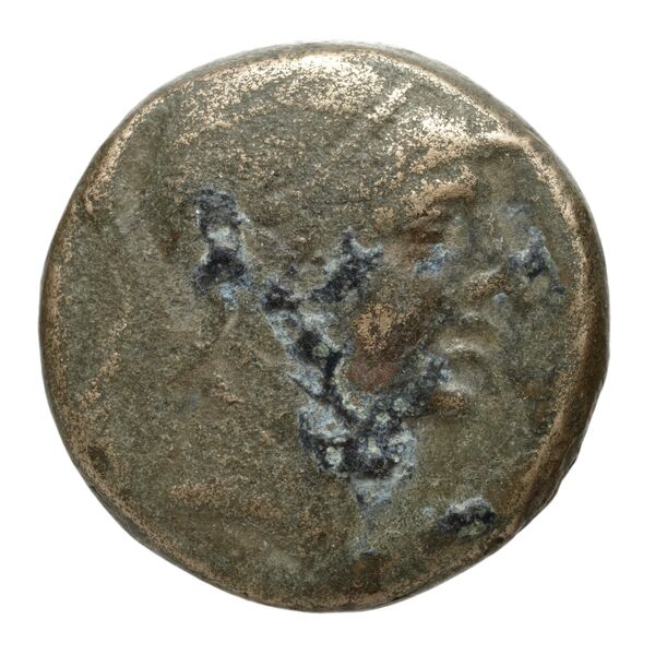 Amisus Waddington 1925 29, аверс, bnf-iris