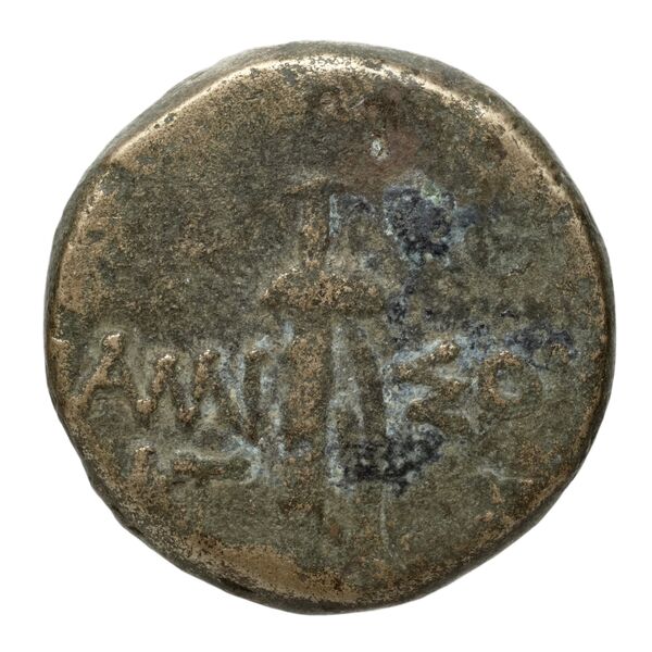 Amisus Waddington 1925 29, реверс, bnf-iris