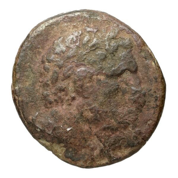 Philip V Macedon AMNG III.2 22, аверс, bnf-iris