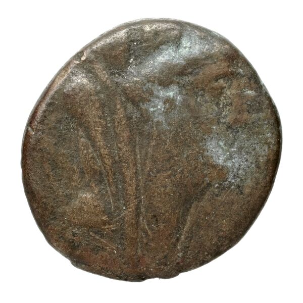 Seleuceia Pieria Butcher 2004 Autonomous coinage a, аверс, bnf-iris