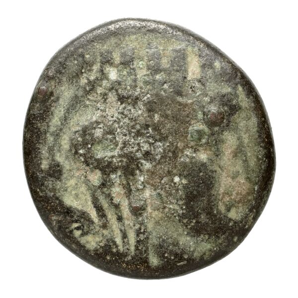 Seleuceia Pieria Butcher 2004 Autonomous coinage a, аверс, bnf-iris
