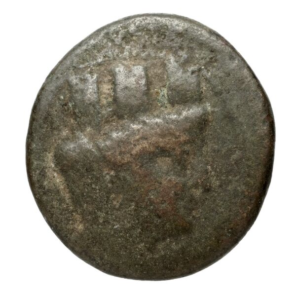 Seleuceia Pieria Butcher 2004 Autonomous coinage a, аверс, bnf-iris