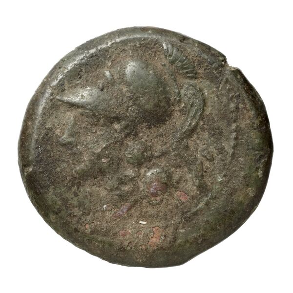 Cales Historia Numorum Italy 435, аверс, bnf-iris