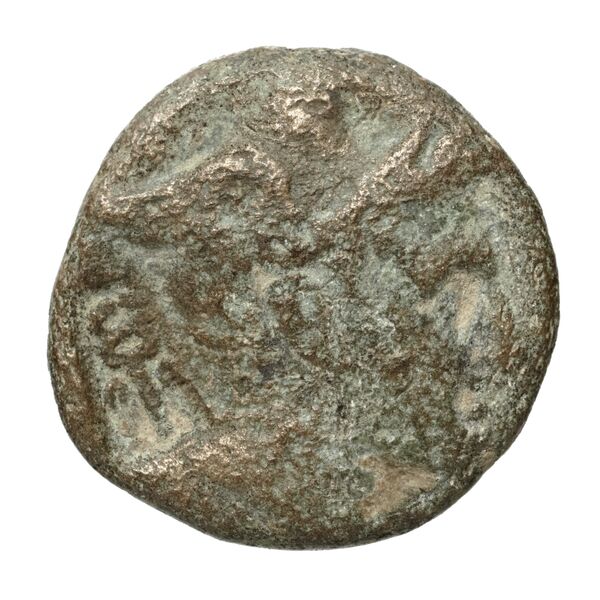 Perseus Macedon SNG Copenhagen Perseus 1275, аверс, bnf-iris
