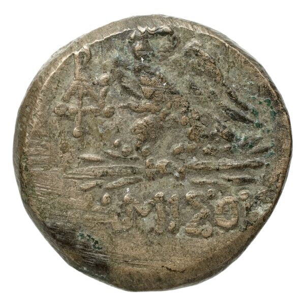 Amisus Waddington 1925 15, реверс, bnf-iris