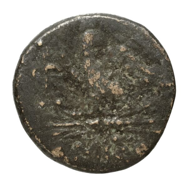 Amisus Waddington 1925 15, реверс, bnf-iris