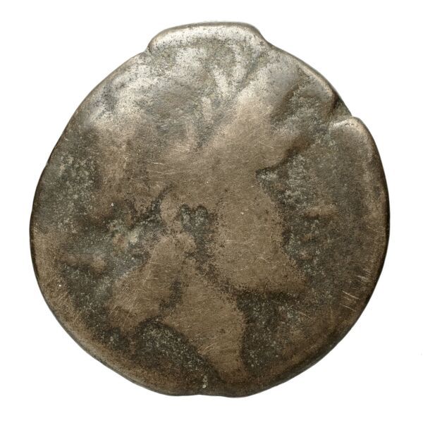 Salapia Historia Numorum Italy 692, аверс, BnF (IRIS)