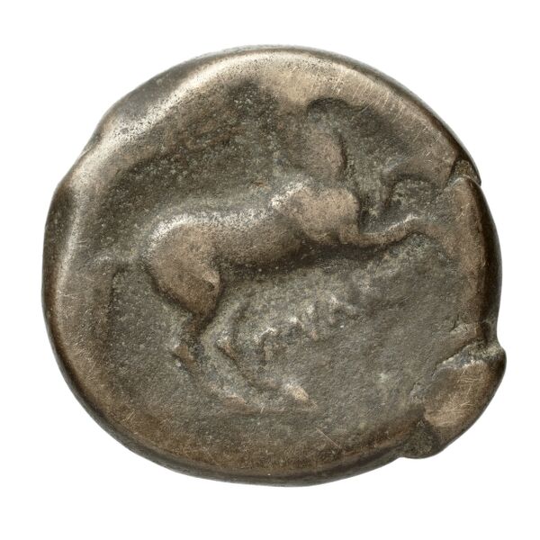 Salapia Historia Numorum Italy 692, реверс, BnF (IRIS)