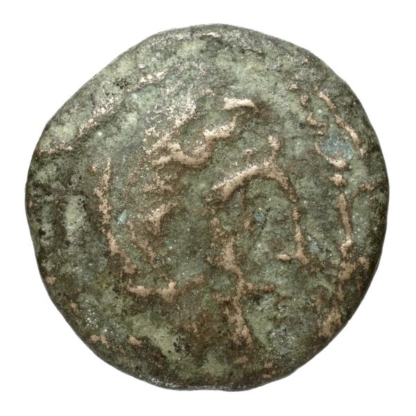Cassander Macedon AMNG III.2 1-2, аверс, bnf-iris
