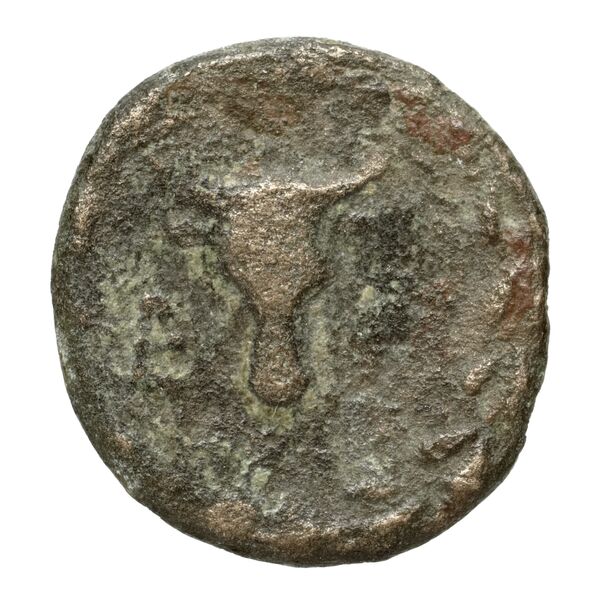 Corcyra BMC Corcyra 479-481, реверс, bnf-iris