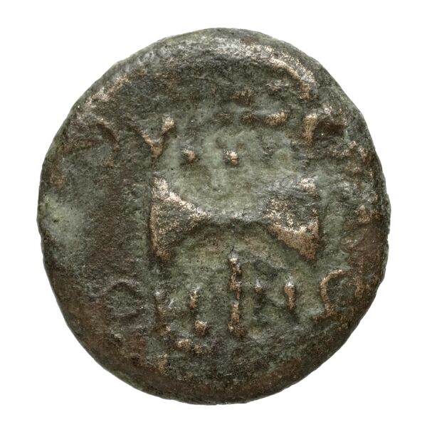 Thyateira Hochard 2020 2.1.2359, реверс, bnf-iris