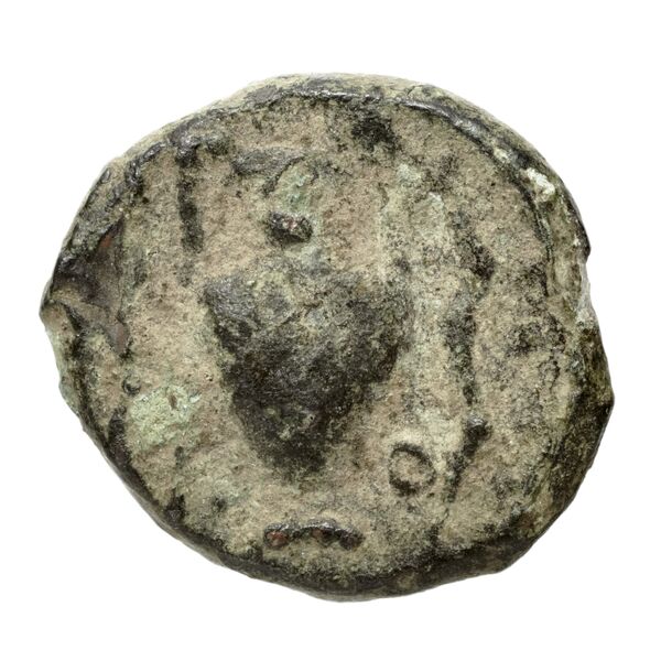 Corcyra BMC Corcyra 314-348_420-433, реверс, bnf-iris