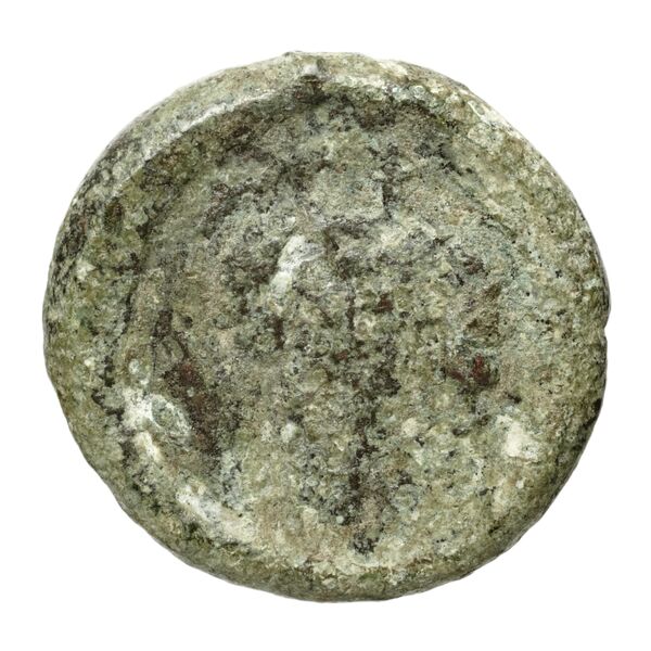 Corcyra BMC Corcyra 102-116_146-168, реверс, bnf-iris