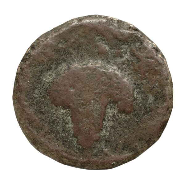 Corcyra BMC Corcyra 102-116_146-168, реверс, bnf-iris