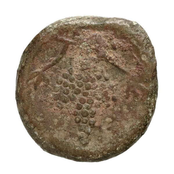 Corcyra BMC Corcyra 102-116_146-168, реверс, bnf-iris