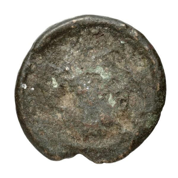 Corcyra BMC Corcyra 102-116_146-168, реверс, bnf-iris