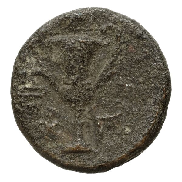 Corcyra BMC Corcyra 449-468, реверс, bnf-iris