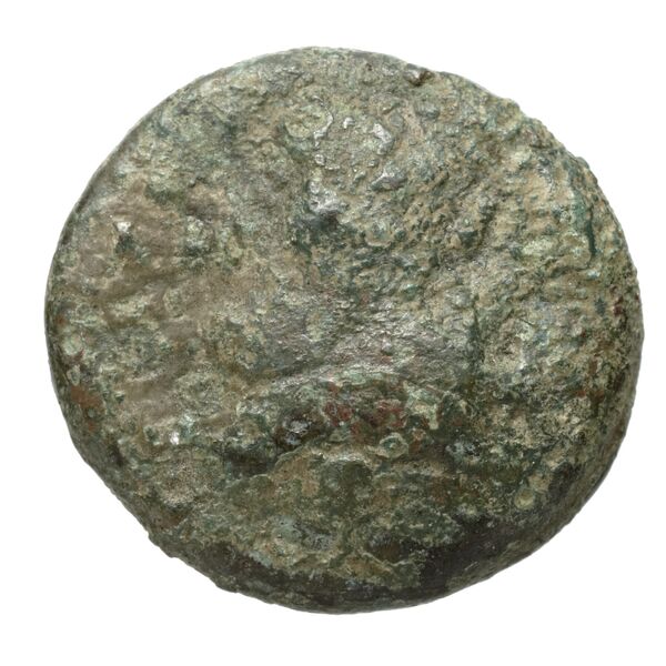 Corcyra BMC Corcyra 449-468, аверс, bnf-iris