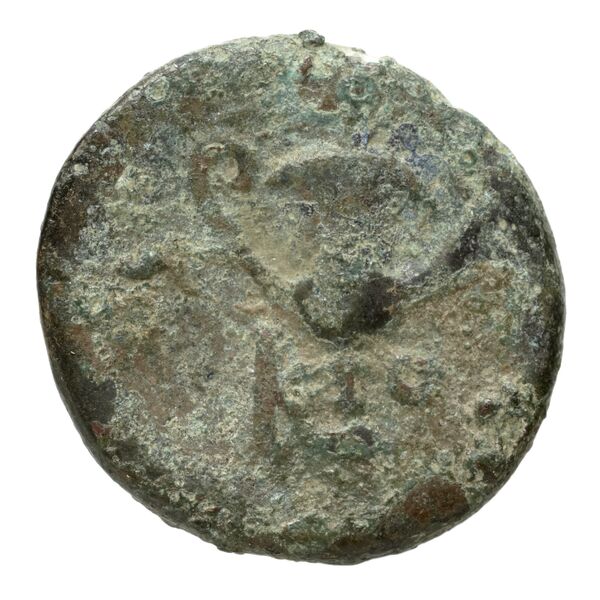 Corcyra BMC Corcyra 449-468, реверс, bnf-iris