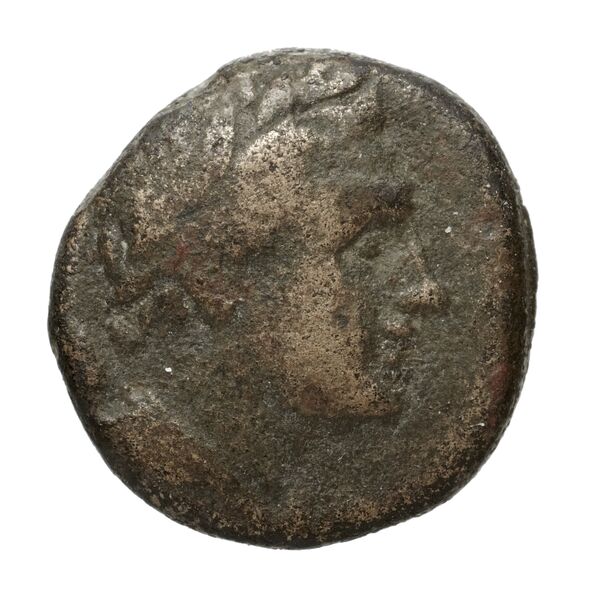 Philip V Macedon AMNG III.2 22, аверс, bnf-iris