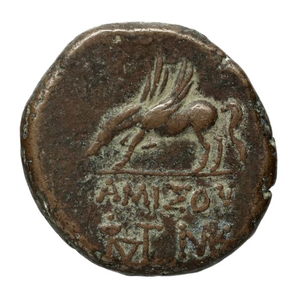 Amisus Waddington 1925 32, реверс, bnf-iris
