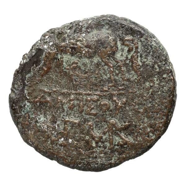 Amisus Waddington 1925 32, реверс, bnf-iris
