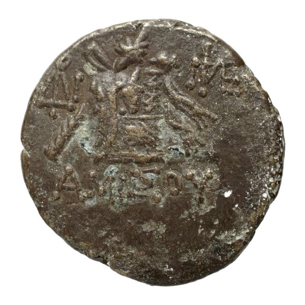 Amisus Waddington 1925 24, реверс, bnf-iris