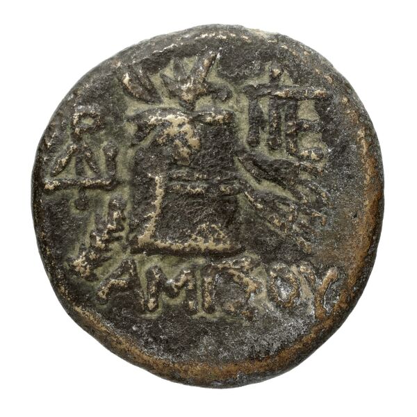 Amisus Waddington 1925 24, реверс, bnf-iris
