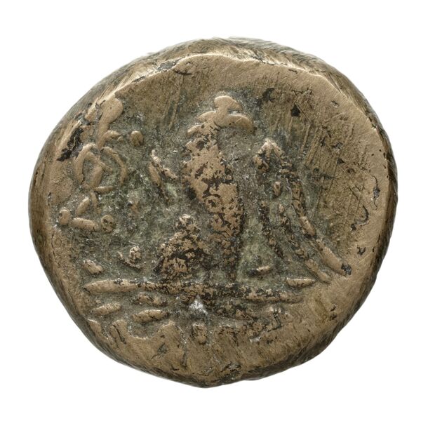 Amisus Waddington 1925 16, реверс, bnf-iris