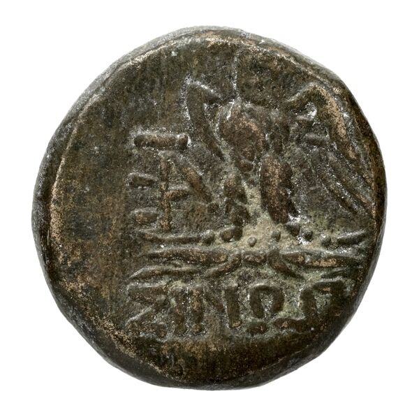 Sinope Waddington 1925 60, реверс, bnf-iris