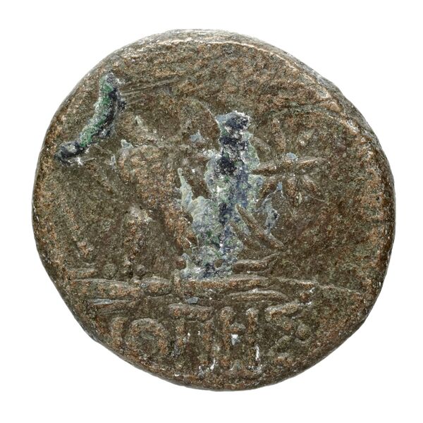 Sinope Waddington 1925 60, реверс, bnf-iris